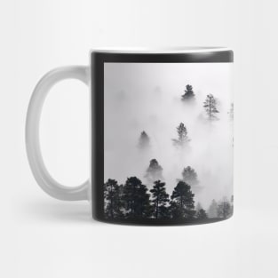 Nature, Morning misty clouds settle in East Clear Creek, Coconino National Forest, Arizona Mug